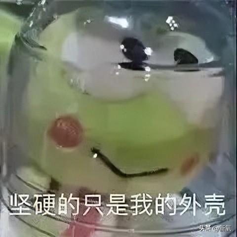 13.jpeg