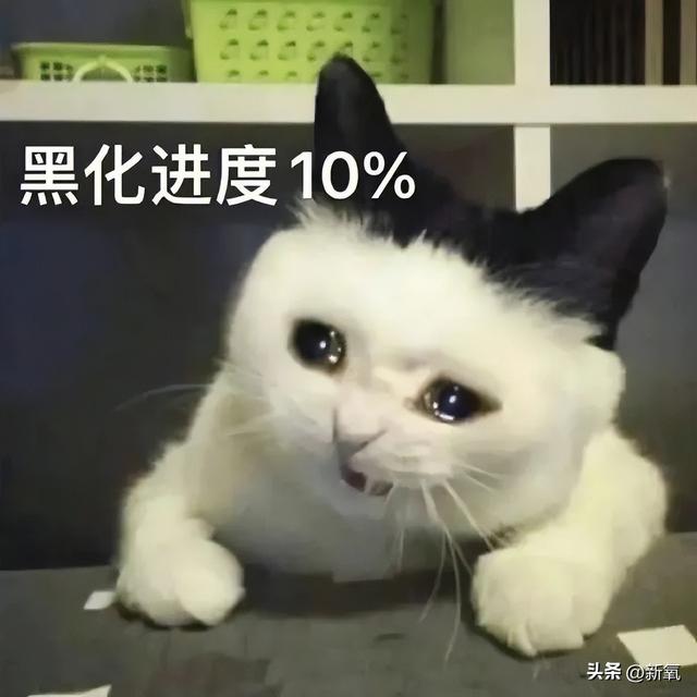 19.jpeg