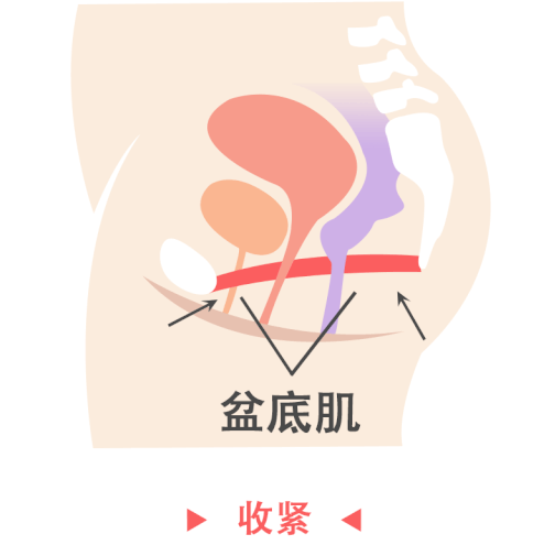 33.gif