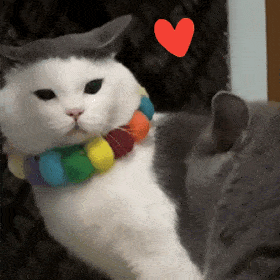 38.gif
