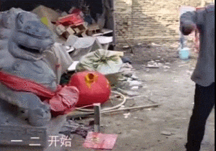 12.gif
