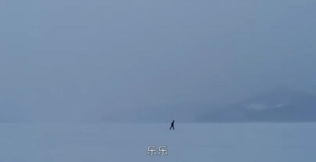 52.jpeg