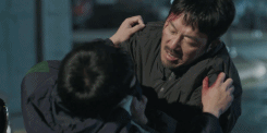 14.gif