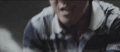 19.gif