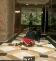 5.gif