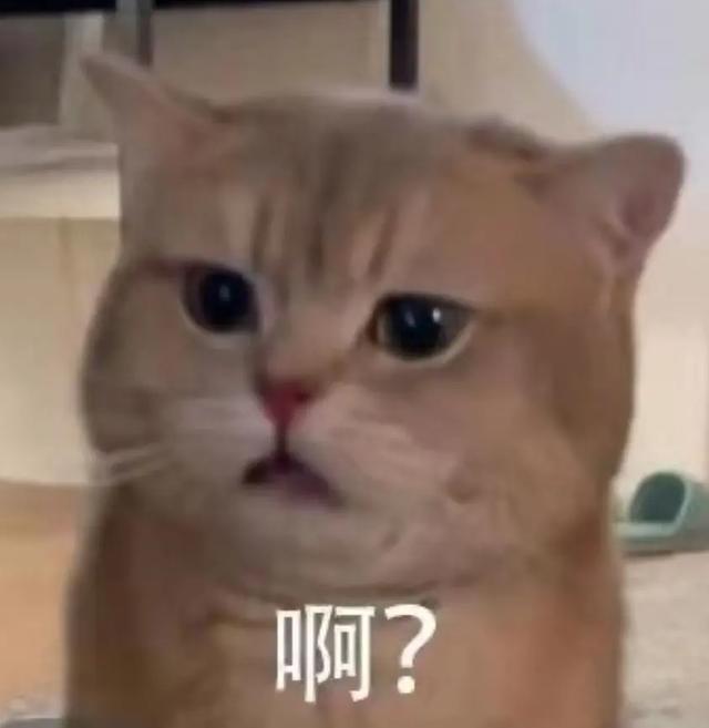 3.jpeg