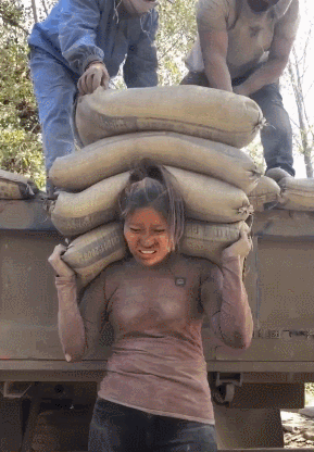 2.gif