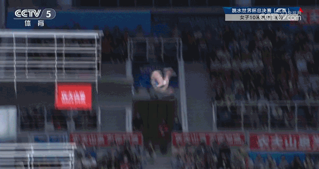 8.gif