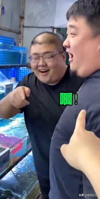 19.png
