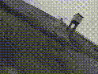 4.gif