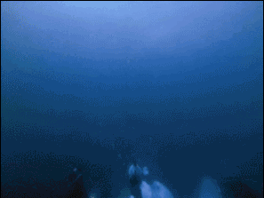 15.gif