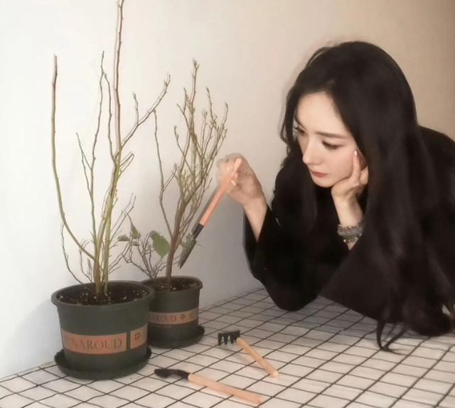 10.png