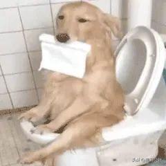 5.jpeg
