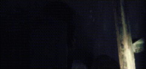 1.jpeg