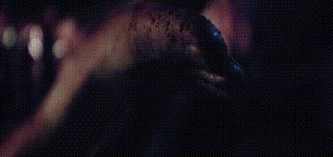 6.jpeg
