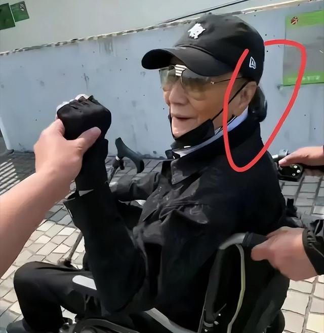 8.jpeg