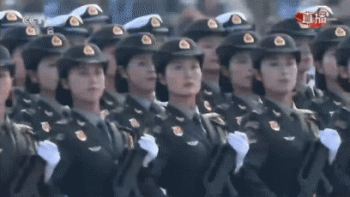 4.gif