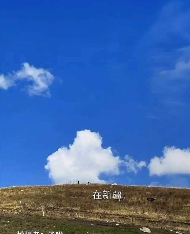 9.jpeg