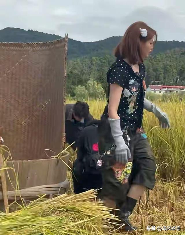13.jpeg