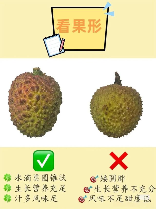 6.jpeg