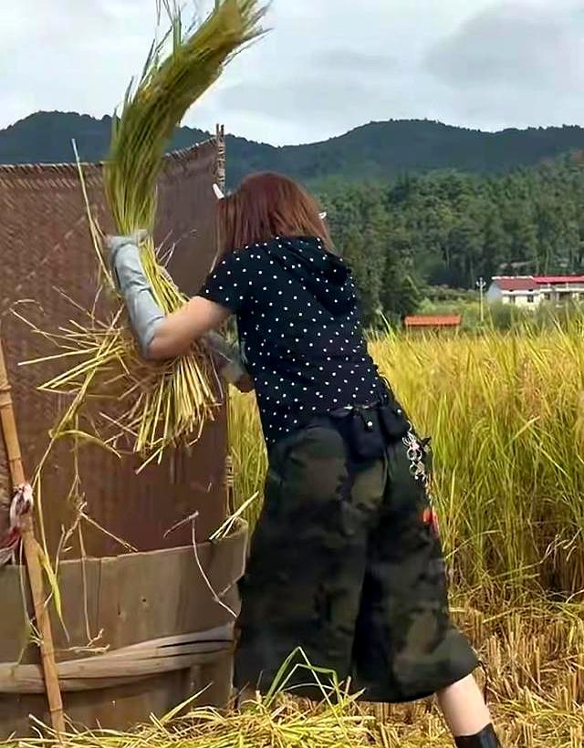8.jpeg